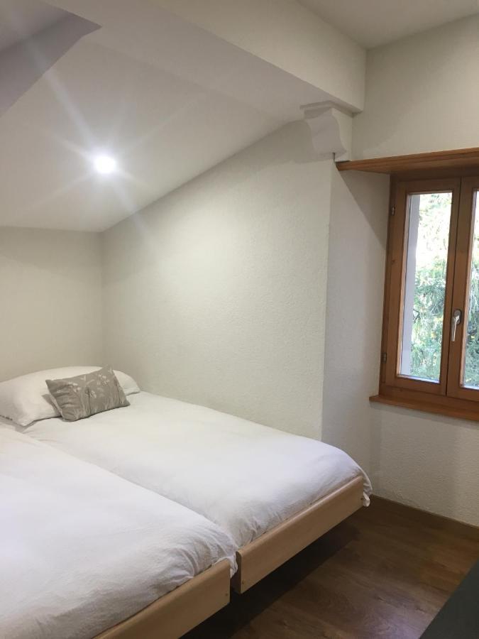 סן-מוריס La Dent-Du-Midi Hotel & Restaurant מראה חיצוני תמונה